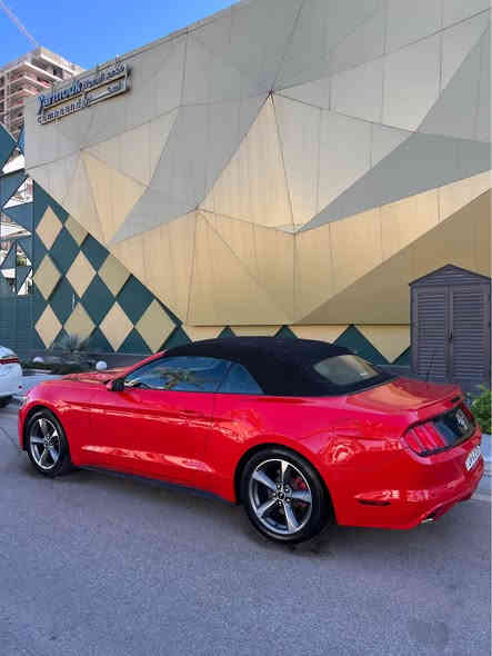 للبيع موستنك ٦ سلندر كلين اصل حته الدعاميات مكفوله وجاهزه من كلشي ماشيه ٩٠ رقم دهوك الجديد باسمي هزه وفحص وسنويه لل٢٠٣٠ 
مكاني بغداد الشراي ويعرف قيمتهه يخابرني 
*********** بغداد
