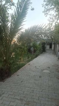 بيت للبيع 150متر طابو صرف منطقة الامانه رقم 1917 اثنين نوم واستقبال وم...