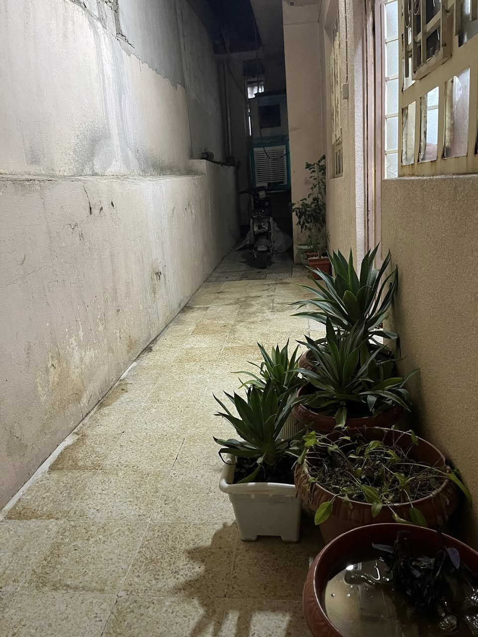 بيت للبيع او للمراوسة في منطقة الورشان مساحة الدار 135 ركن  الواجها  18  يحتوي الدار على غرفتين نوم + هول + مطبخ وصحيات  + كراج داخلي  مامصور  للاستفسار مراسلة الصفحه او الاتصال على الرقم 
***********
