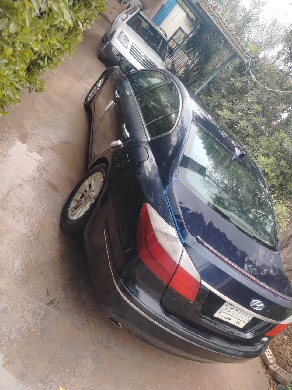 للبيع او مراوس جنيسز موديل ٢٠١٠ رقم بغداد بسمي سنويه لل ٢٨ مكينه كير كفاله تبريد شغال منضومه جديده مبدلهه تخم تاير جديد حداديه صدر امامي جديد مبدله تحكمات جهتين شاشه كشنات جلد كهرباء تدفئه كشنات تبريد ٣ قطع منضومه سماعات كله جديد لايتات عالي ناصي زينون مكينه ٦ سلندر ٣٨٠٠ المرغوب السياره بيهه جاملغ خلفي وبيهه اربع اصابع بل باب مال صدر جاهزه عوزهه فقط صبغ لان صبغهه جارد مكاني بغداد الدوره رقمي *********** السعر (100) وبيهه مجال
