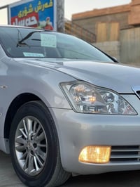 ٢٠٠٧ • السليمانية • بدون صبغ