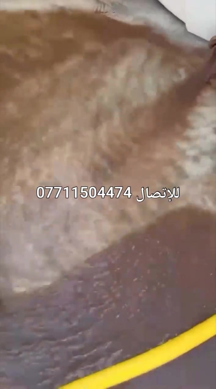 درع المياه للتنظيف
تنظيف خزانات المياه بجودة عالية وأمان كامل تنظيف خزان المياه مهم حتى تحافظ على صحتك وصحة عائلتك وجودة المياه داخل البيت بخزان نظيف يعني ماء صافي خال من الطفيليات والبكتريا والرواسب والروائح المضرة بالصحة
تنظيف خزانات المياه
وغسل الدور المهجورة وغيرها
⭐⭐⭐
خدماتنا تشمل
أزالة الرواسب والطحالب من داخل الخزانات
وتعقيم الخزان بمواد خاصه أمنة ومعتمدة
تنظيف الغطاء والجوانب مع تفريغ المياه المتبقية
فحص الخزان والتأكد من عدم وجود تسريب او تلف
أعادة تعبئة الخزان بمياه نظيف
عمال محترفين ذوي خبرة
أستخدام مواد تعقيم أمنة على الصحة
سرعة في أنجاز العمل و دقة التنظيف
بأنسب الأسعار
وجودة مضمونة
❤️🧡💛💚
للإتصال ***********
