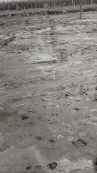 الحمزه الغربي • طابو زراعي • ٢٢٤م