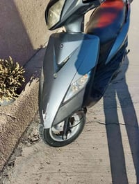 دراجة ثعلب • جديدة • كفاله عامه