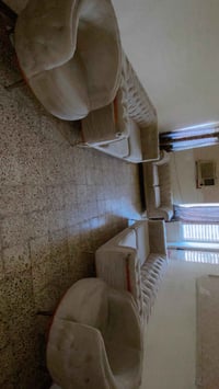تخم • كنب • بدون ضرر