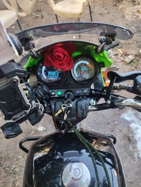 دايون • جبلي • النجف