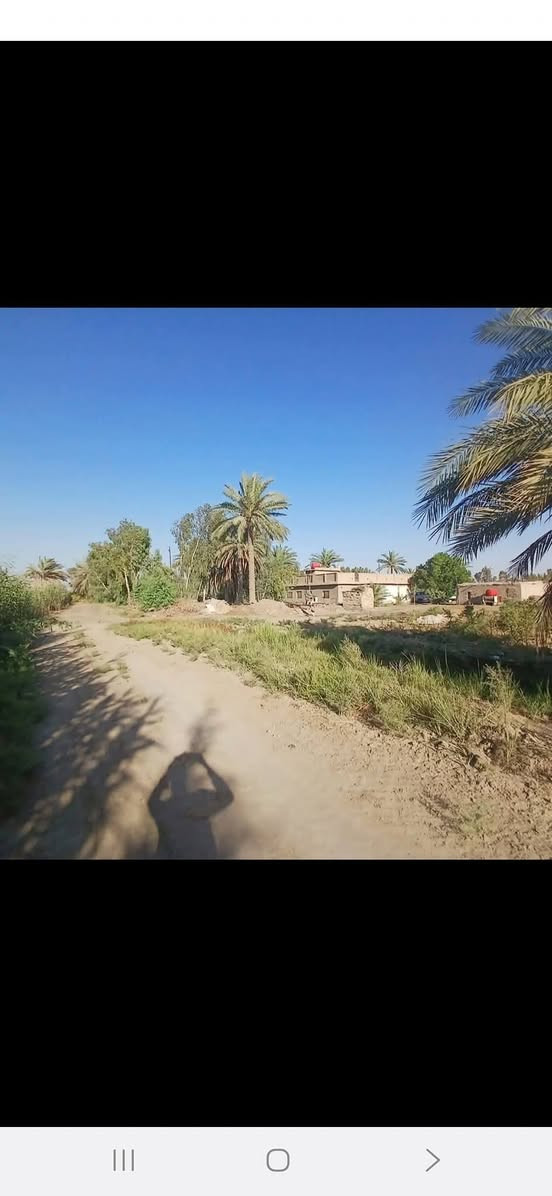 سلام عليكم ارظ زراعيه 7 دونم مع بيت قديم معه  تبعد عن السوق كلوين المكان قضاه جبله حي الفرات  ركن قرب الشارع  فرع المصلخ رقم الهاتف ***********.        رقم الهاتف  ***********

