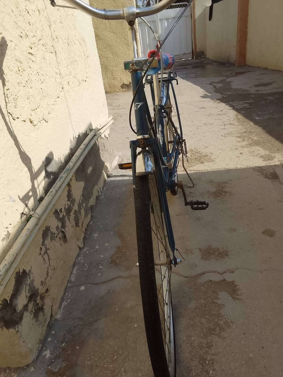 باسكل للبيع


**إذا كنت صاحب هذا الإعلان وتريد حذفه لأي سبب، رجاءا أرسل رسالة إلى الدعم الفني**