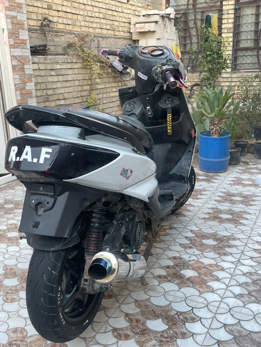 سكنس فحل كابريتر مزوده بوشه 58.5 كابريتر قفاز حجم ٢٨ صالنصه رياضي سلف رياضي
دراجه خير من الله مكاني بابل المسيب