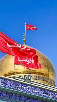 مدينة النصر • ١٠٠٠ راية • يا زينب