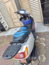 سبيسي ياباني • مكفولة • كوت داموك