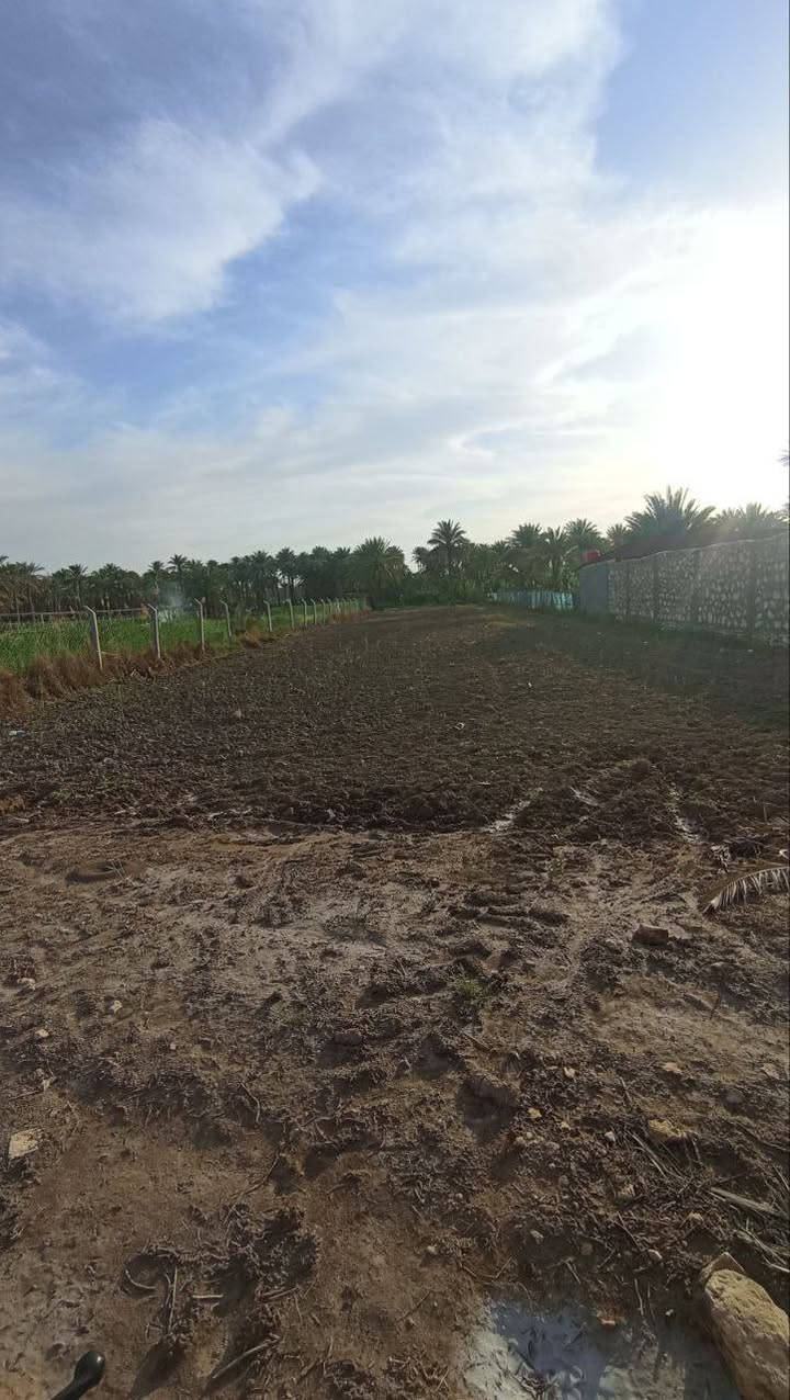 #ارض زراعيه للبيع ترهم مزرعه ترهم سكن كلشي ترهم
المساحه دونم ونص كما موضح ب الصور 
#سند ٢٥ تحويل مباشر ب اسمك
الارض حاليا مزروعه والتصوير قديم 
الارض دولار يعني تبقيه يوم تصعد فوك سعره ضعف
#متوفر جميع الخدمات ماء  كهرباء مولدة شارع 
الموقع شارع ١٠٠الرابط بزل حجي علي تبعد عن شارع ١٠٠ العام ١٠٠ متر 
للاستفسار اكثر اتصل على الرقم وبخدمتك 
‏‪0787 689 2247‬‏
