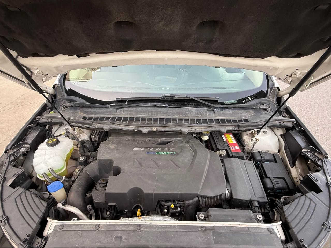 فورد ايدج 2017 ST سبورت 6 سلندر 2700  توين تيربو فول مواصفات 

بدون حادث تقريرها كليين تايتل ماشيه بامريكا 91 الف ميل حالياً 165 

حاليا بيها صبغ باب خلف السايق 

مكينه وكير بشرط مامفتوح وبضمان 

صدر وكهربائيات بشرط كلها بلاد 

مكانها سليمانيه 

للاستفسار عل خاص 

0770.     0010.     645

0750.      0046.    535.   

او واتساب موجود السليمانية, العراق
