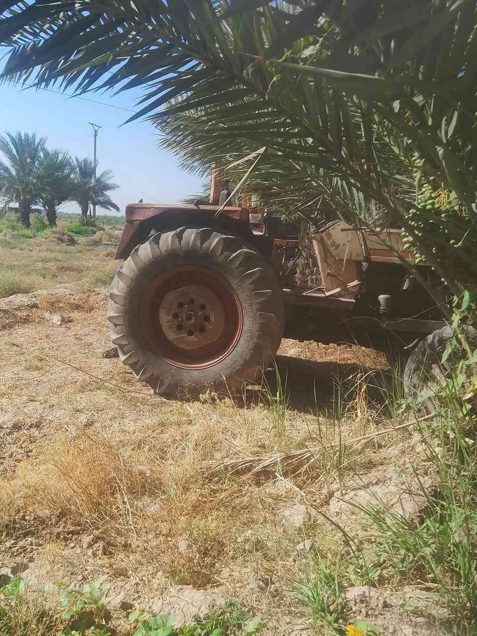 ثمانين للبيع موديل 87زيتور مكينة بلادية المكان بعقوبة ناحية السلام الاستفسار الاتصال على الرقم***********
