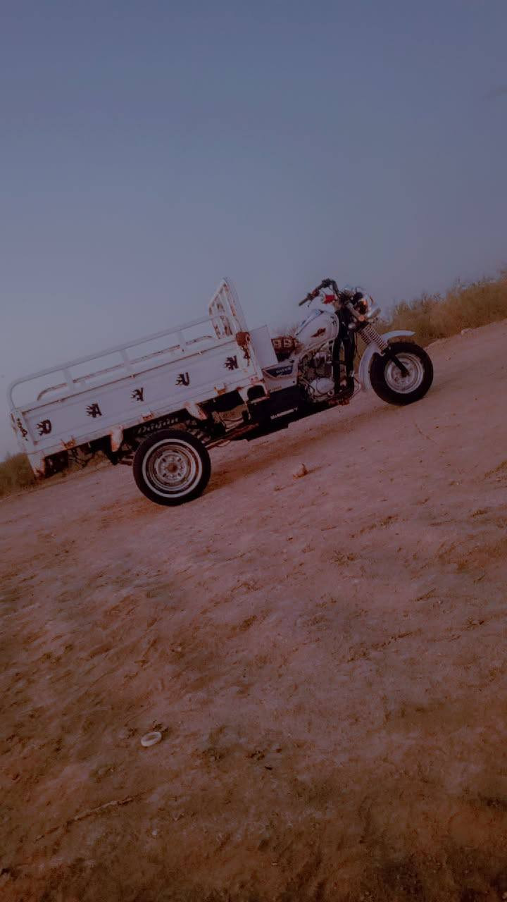 ستوته مديل 20 وكيل كفاله وبل وكيل اكتبه الك شاصي وراق كفاله عامه بلاد لا كصس بدي ولا حيم وضع شركه تواير جدد ضفيره جديده اشاير بك لا يتات كلشي شغال وسلف واذ هندر واحد تشتغل السعر 1650 مريض اطلع كبل *********** بيه وتساب مكاني سوق الشيوخ كرمت بني سعيد
