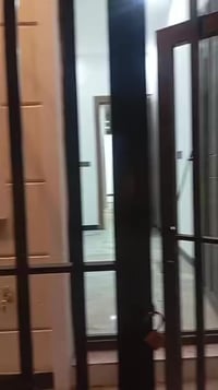 القاهره مدخل الدلفيه • ٤٨م • زيرو