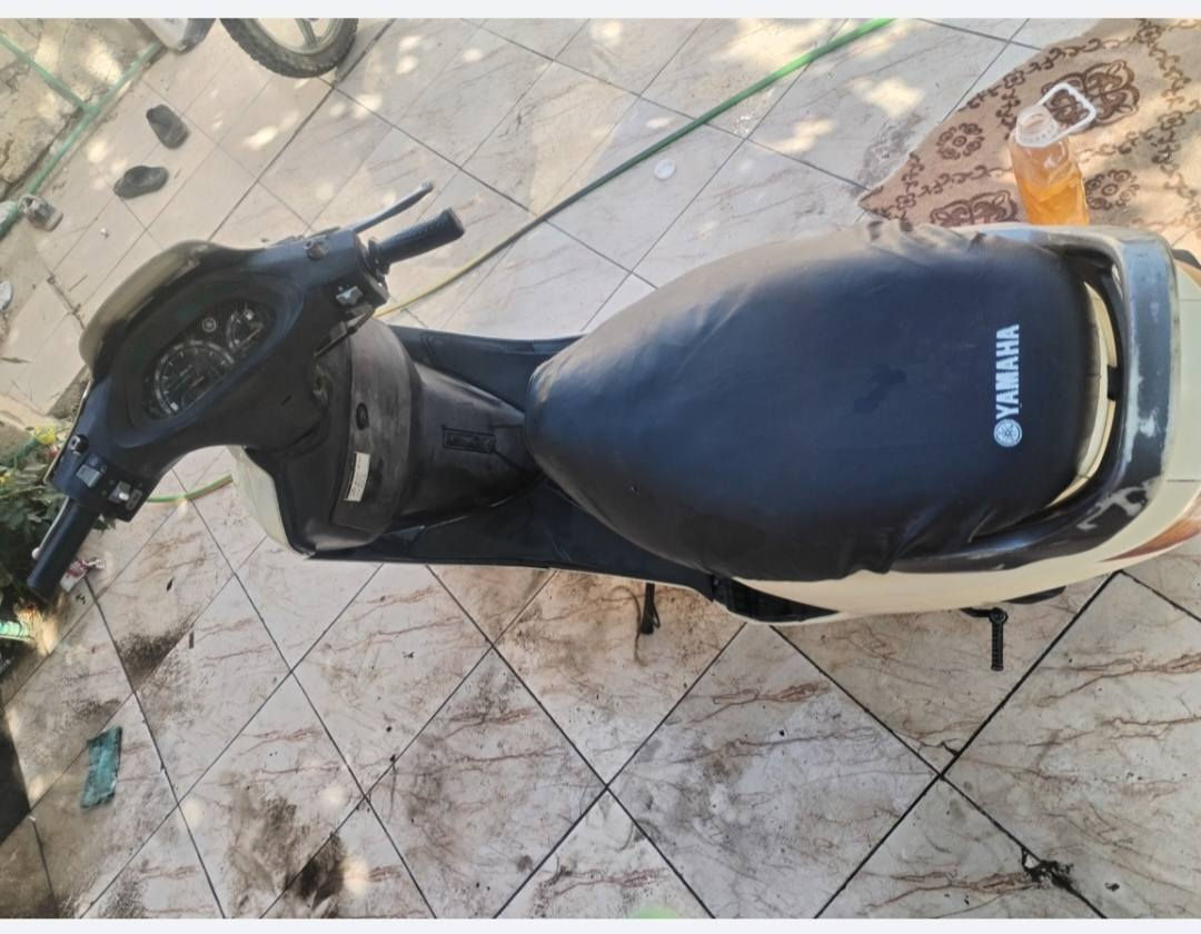 فراشه فحله البيع كفرات  بلاديه حلوه نضيفا  سعر٢٥٠ مكان بابل هاشميه ***********
