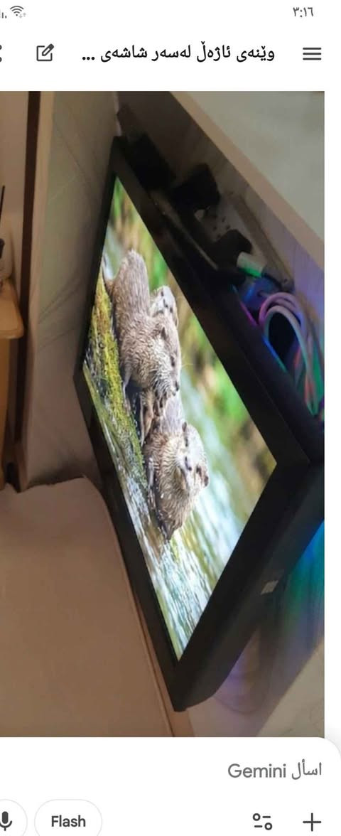 TV  شاشە  32  سامسۆنگ  زۆر  پاکە دەوروبەری سلێمانی Singapore


**إذا كنت صاحب هذا الإعلان وتريد حذفه لأي سبب، رجاءا أرسل رسالة إلى الدعم الفني**