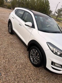 خليجي • فول • ٦٣ ألف