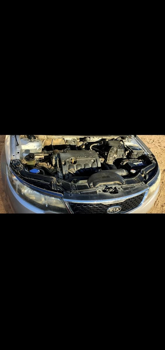 السلام عليكم
سيارة سيراتو 12 واحد على واحد كفاله عامه بأسمنه رقم بغداد مشروع وطني وارد خليجي (غير متواجد على الفيس )
***********
