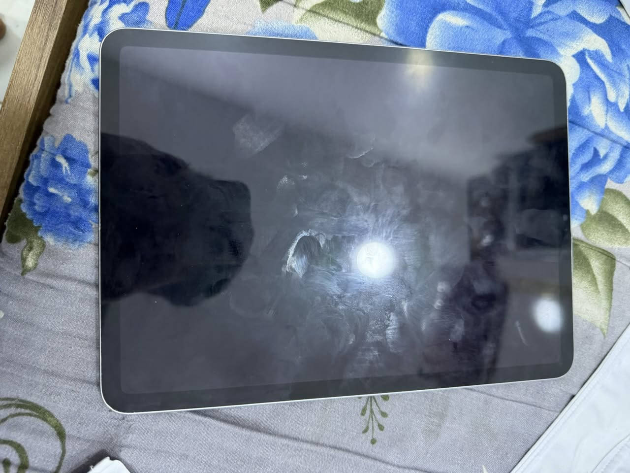 لام عليكم اخوان عندي ايباد M2 مُديل23 بطاريه ٩٠/ نضافة ٨٠/١٠٠ بي ضربات موضحه في الصور السعر ٦٥٠ وبي مجال قليل ؛
مكاني بغداد "
‏رقم الهاتف***********
