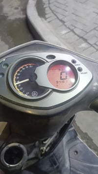 دراجة سكنس • فحل • كفالة