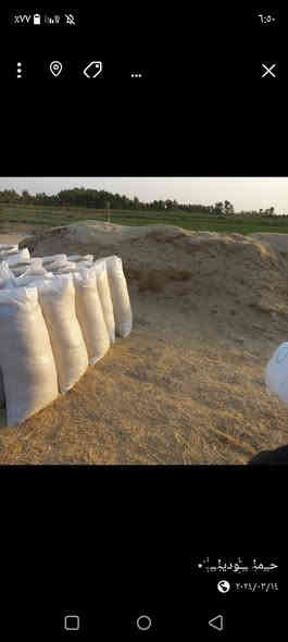 السلام عليكم يوجد تبن للبيع للعنوان الديوانية البدير للتواصل /***********/***********
