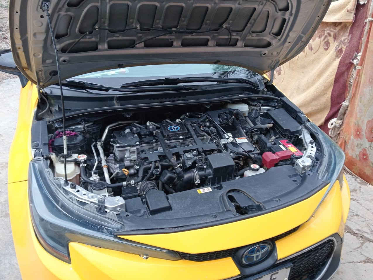 التفاصيل داخل الصوره


**إذا كنت صاحب هذا الإعلان وتريد حذفه لأي سبب، رجاءا أرسل رسالة إلى الدعم الفني**