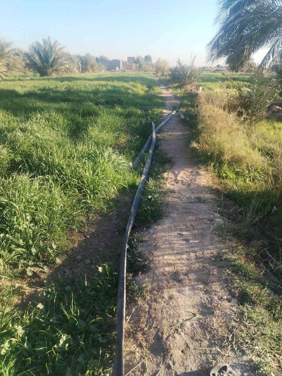 ياالله
ارض اللبيع  ارض زراعيه عقد 35 بسمنه
اكثر من ثنين دونم 
متوفر بيه كهربا 
متوفر بيه ماطور ماي كهربايئ مع صواند مع برينه 
عنوان الحمزه الشرقي  الجعفريه 
الستفسار ع الرقم *********** ايضن الخاص مفتوح
