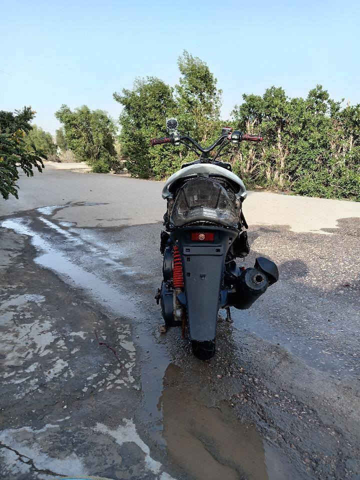 55 نكره شلعه ومعدل غراضها كامله مابيها نقص 550وبيهاا مجال بسيط ***********
