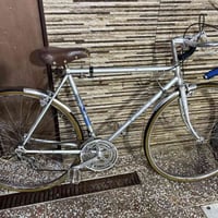 فلبس • انكليزي • اصلي