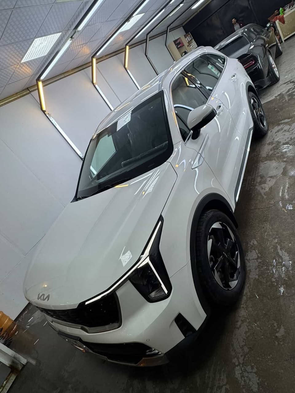 السلام عليكم
سورنتو 2024 
كفالة عامة السيارة 
رقم بغداد 
ماشية 30 الف 
6 سلندر 
مواصفات نص 
ب308 
مكاني كوت
***********
