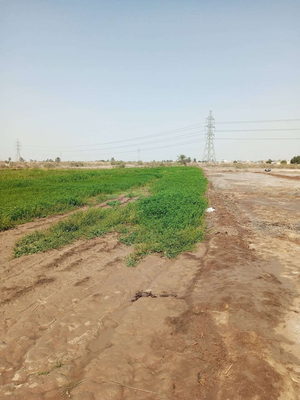 أرض زراعيه  قرار 35  للبيع المساحه الكليه 10 دونم نزال 207 وعرض 120
متوفر ماي سقي وشرب كهرباء  مشروطه  وشارع

 ارض زراعيه  وخاليآ مزوع جزء منها  مباشر ع الشط الوفاء

  العنوان ناصريه  منطقة  القريه العصريه  نهاية المنطقة

 تصلح مزرعه  او الاغراض تجاريه  

  سعر الدونم الواحد  20  وبي مجال بسيط   

 للاستفسار مراسلتي


**إذا كنت صاحب هذا الإعلان وتريد حذفه لأي سبب، رجاءا أرسل رسالة إلى الدعم الفني**