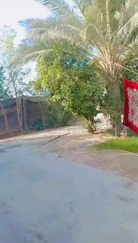 كربلاء طويريج • ٧٠٠م • بيت وأرض