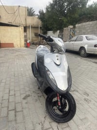 ماكس • عدله • البصره