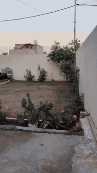 دار للبيع المساحه 510 كل التفاصيل بلمقطع مذكوره  المكان بغداد جسر ديال...