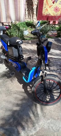 دراجة شحن • حجم 20 • 5 بطاريات