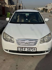 النترا • ٢٠١٠ • مصبوغة