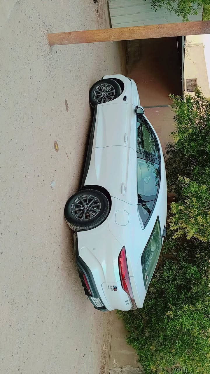كنيل 2025كامرات عدد13 داخل ابيض ماشية10الاف السعر 25مليون و بيها مجال بسيط مكان بغداد بياع الشرطة الخامسة الشراي يتصل ***********
