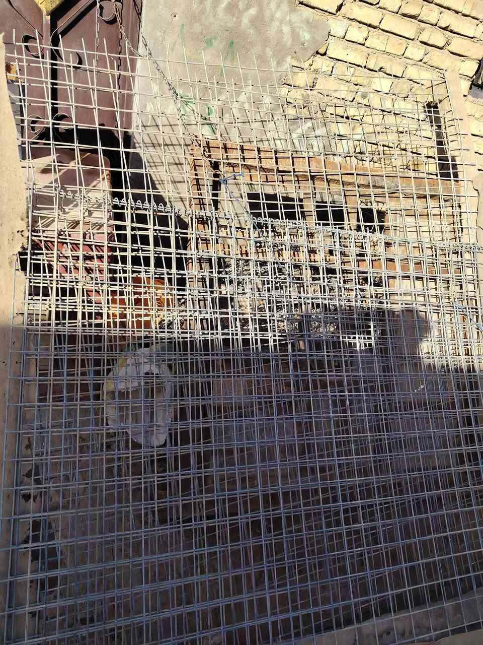 بي ارسي للبيع أمريكي حجم صغار وكبار العنوان الديوانيه


**إذا كنت صاحب هذا الإعلان وتريد حذفه لأي سبب، رجاءا أرسل رسالة إلى الدعم الفني**