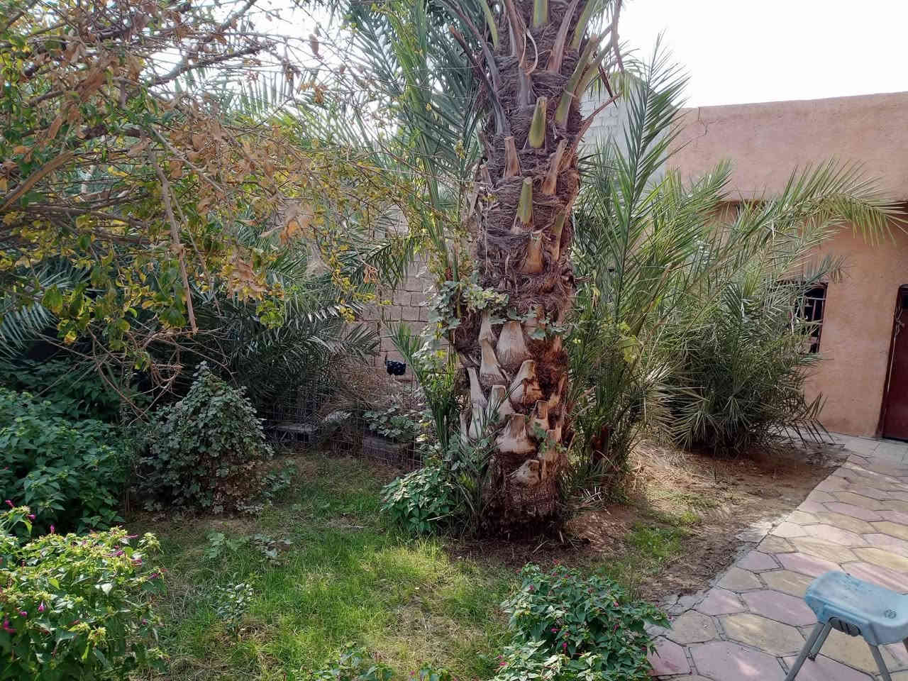 السلام عليكم ورحمه الله وبركاته بيت مقابل شارع 60 بيت مساحته 350 بيت نضيف تبليط  مجاري فول هاذا رقمي ***********
