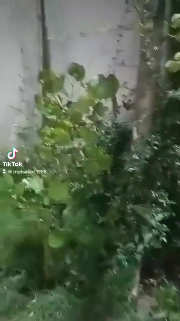 هندسة وديكورات حدائق استغل كل شبر في بيتك


**إذا كنت صاحب هذا الإعلان وتريد حذفه لأي سبب، رجاءا أرسل رسالة إلى الدعم الفني**