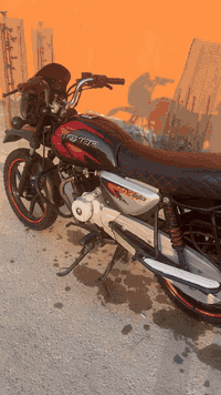 بوكسر جبلي • موديل ٢٠٢٠ • الحولي