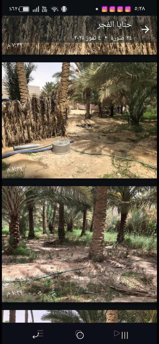 الي يريد بيت بداخل بستان هذا الخيار يجنن الك
ارض زراعيه طابو سند 25 المكاتبة مع راعيها مباشر مساحتها 1350 متر  تحتوي على بيت مساحته 200 متر بناء حديث بلوك والسطح صب مبلط داير ميدور ويحتوي على نخيل 🌴 ومكان مخصص للحيوانات مقطع ويبعد عن الشارع التبليط مسافه قليله جدا
تقع في كربلاء  منطقة الحسينيه سيطرة 57
شبه تجاريه يعني قريبه من شارع كلش
للتواصل والاستفسار ارجو مراسلتنا واتساب  *********** 
نحيطكم علماً لانستقبل الاتصالات المباشرة راسلنا واتساب وتدلل
