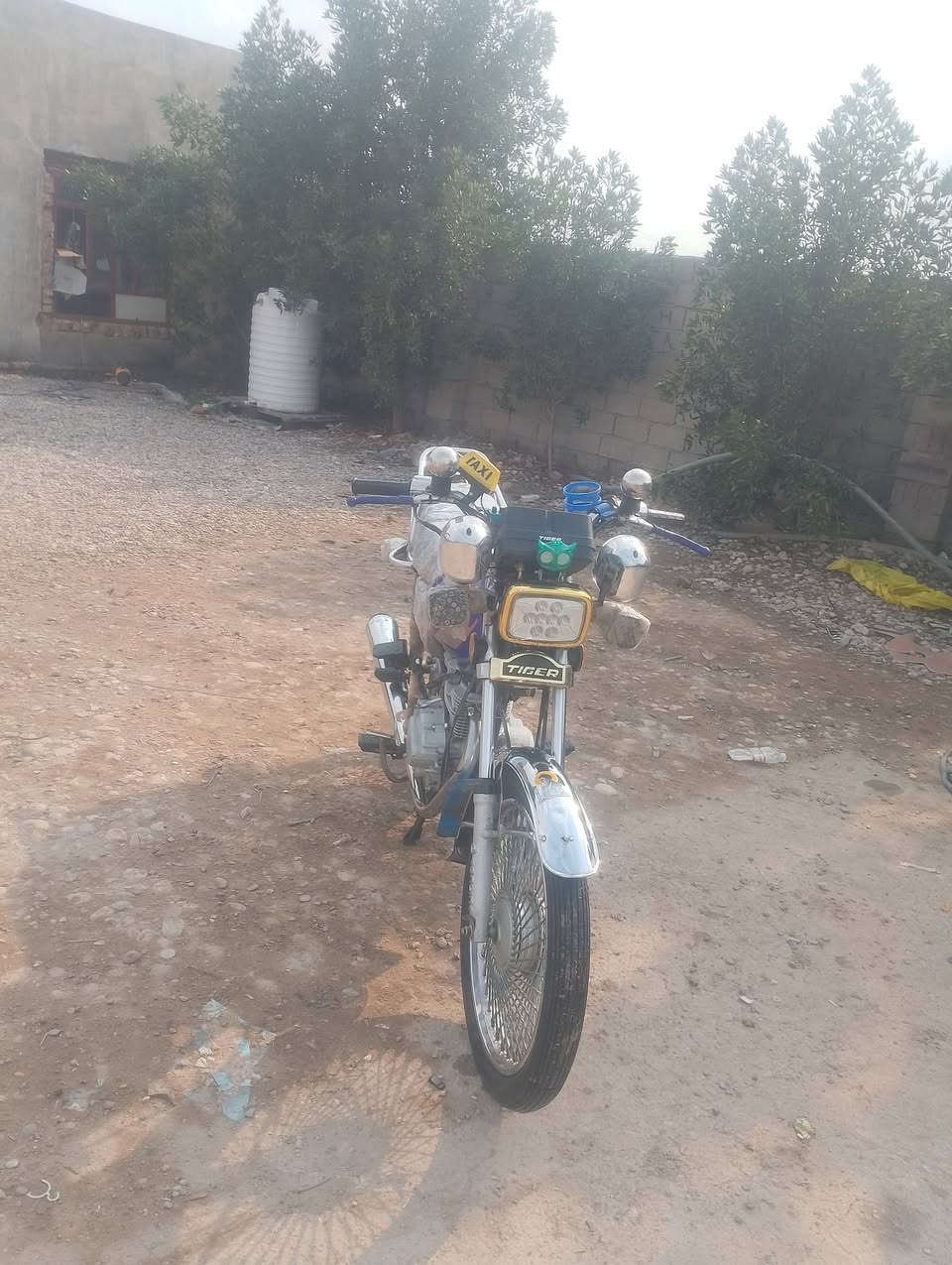 سلام عليكم شباب دراجه تايكر لبيع موديل 21وراق صولي دراجه نضيفه حيل سعره 475وبيه مجال لشراي العنوان بابل الشوملي رقم ***********
