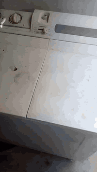 متاح غسالة هيتاشي ياباني ب55 الف وبيهة مجال البياع مواصلات الشرطة الخامسة مقابل جامع  خديجة ع
***********
