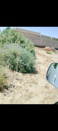 ٣ دولم • ٥ دولم • طابو حق التصرف