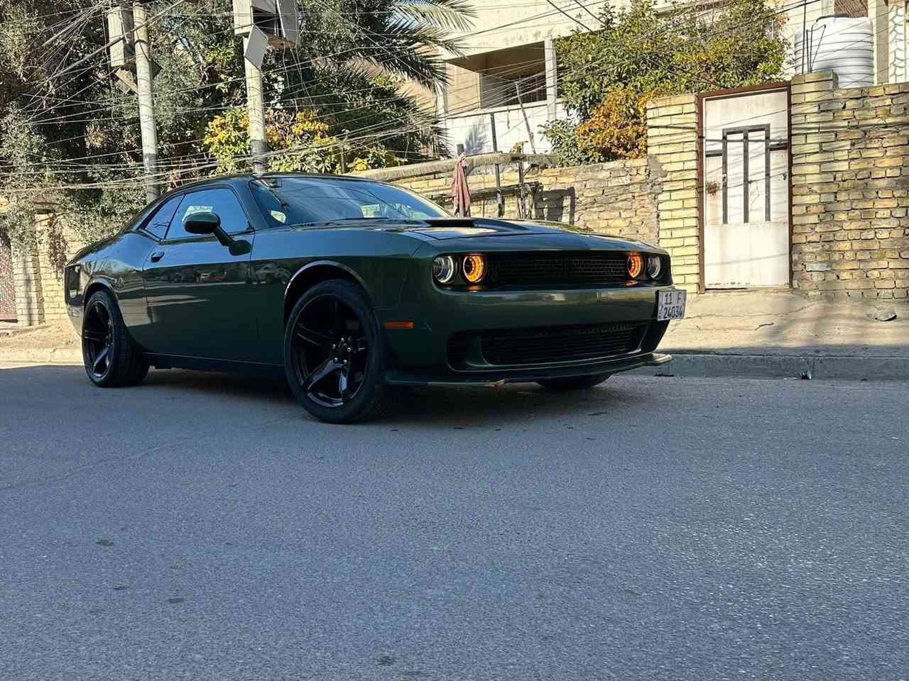 السلام عليكم
جالنجر sxt

لون مميز زيتوني سيارة لونين تو كلر اصل 

سيارة مكينة كير بلدي ما مفتوح برغي 
محرك v6
سيارة بدون حادث كلين

بيه قطعتين كلير  بنيد وجاملغ ايسر خلفي من اميركا 

ماشيه ٦٤ سيارة حيل نضيفه 

عليه ويل ب٧٠٠$ دولار 

شوته اصليه بلد جبيرة 

تدفئه تبريد خير من الله 

مكان سيارة كربلاء 

رقم بغداد بسمي 

سعر ١٨٢ وبيه مجال 

رقم /.   ***********
