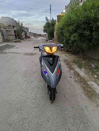 ماكس ثعلب • نضافه ٩٠% • تاجي سبع البور