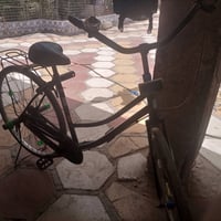 نضيف ومرتب • صيني • شحن بريد